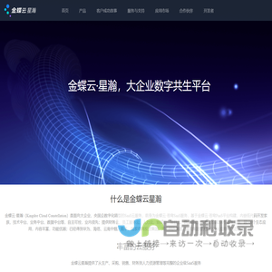 金蝶云星瀚